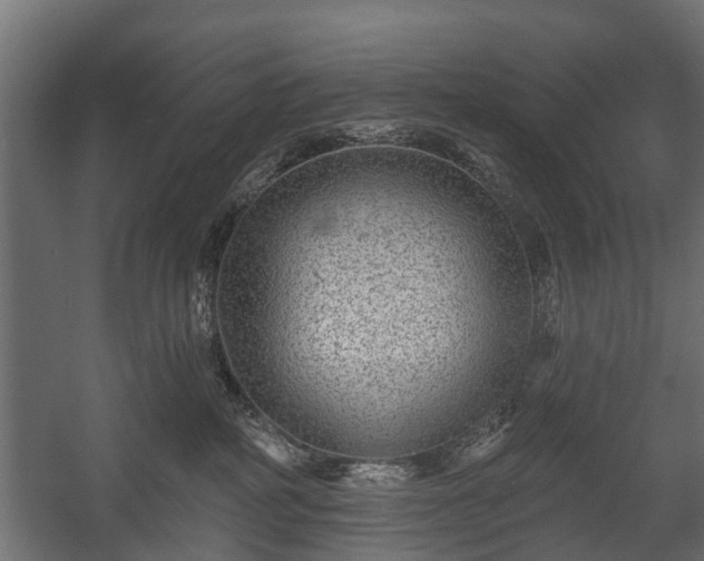 X0000058120234200509261242