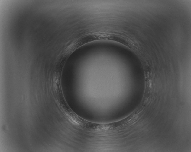 X0000058120235200509261242