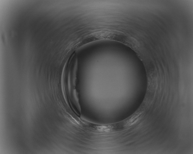 X0000058120239200509261242