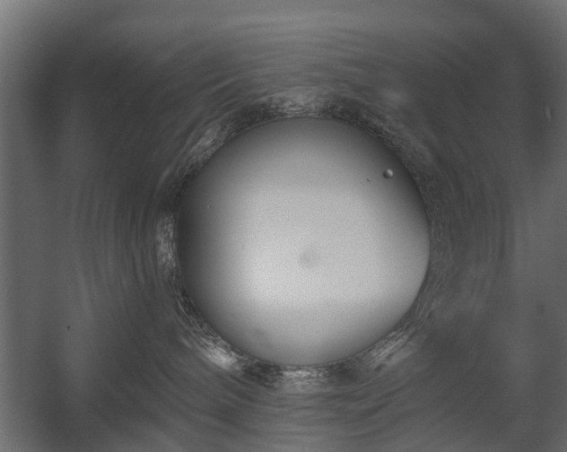 X0000058120240200509261242