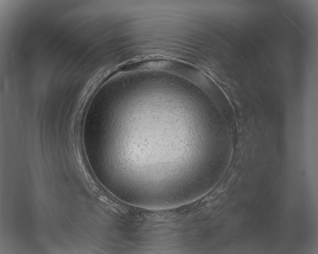 X0000058120241200509261241