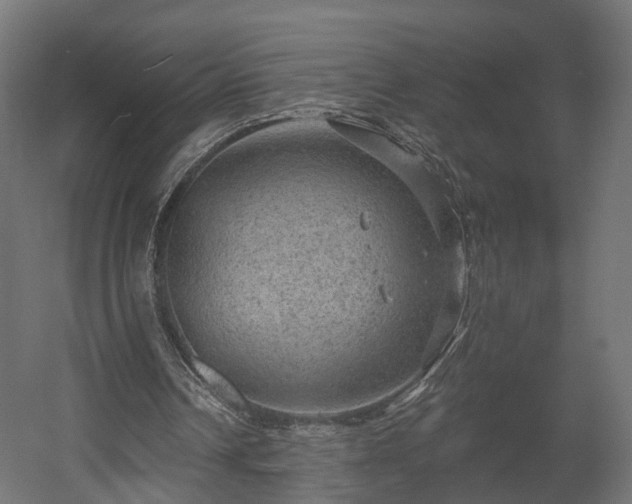 X0000058120242200509261241