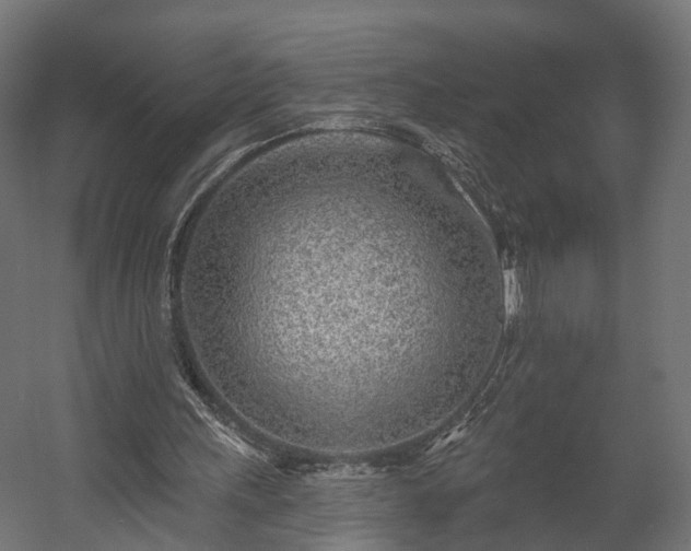 X0000058120243200509261241