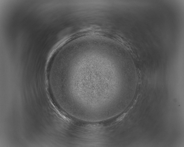 X0000058120245200509261241