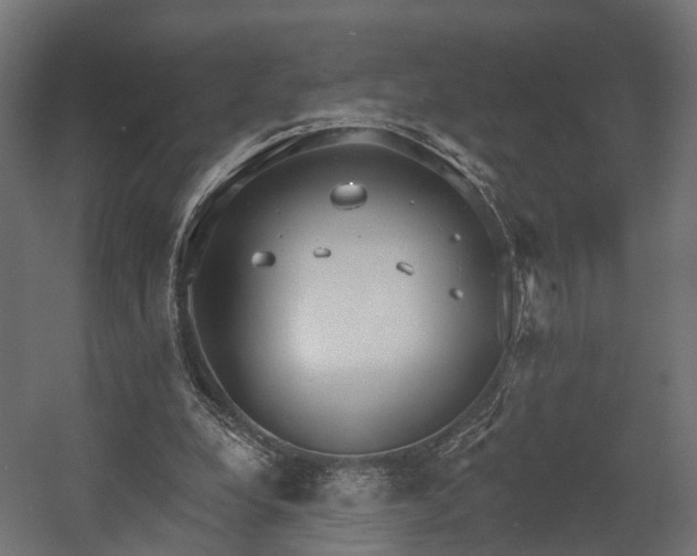 X0000058120248200509261241