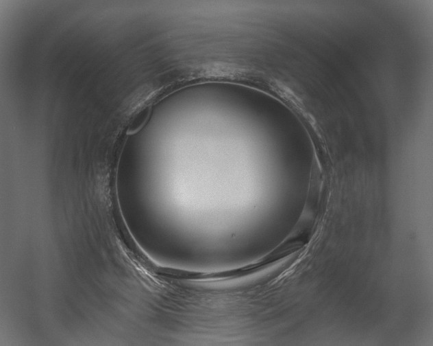 X0000058120249200509261242