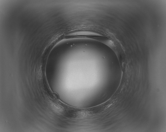 X0000058120250200509261242