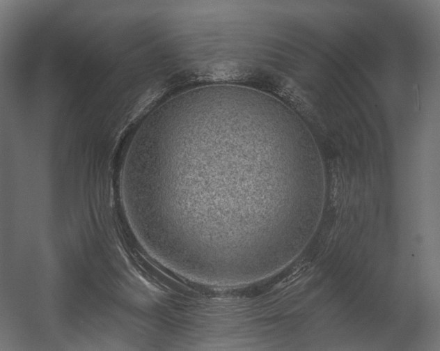 X0000058120251200509261242