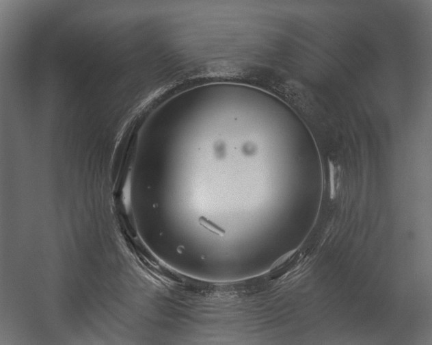 X0000058120252200509261242