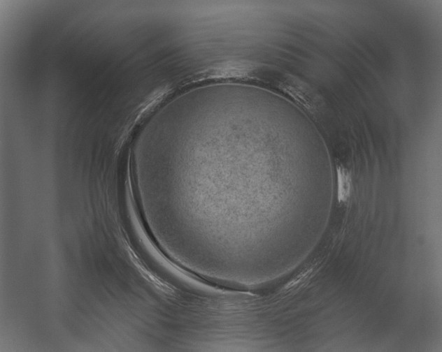 X0000058120253200509261242