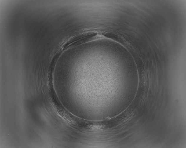 X0000058120255200509261242