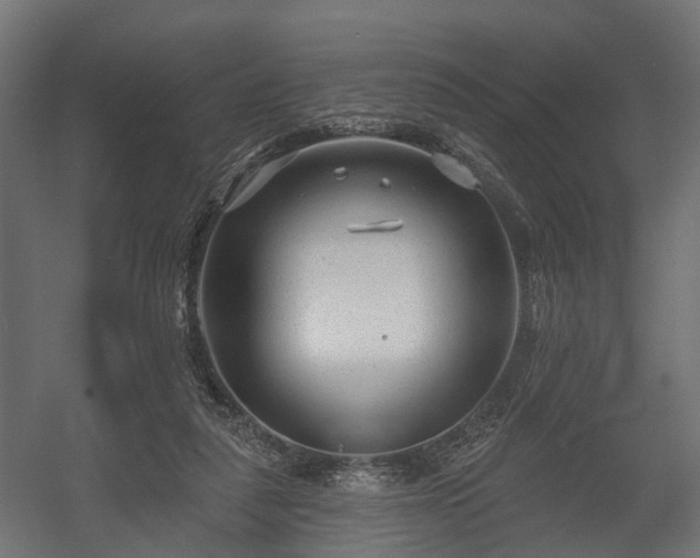 X0000058120259200509261242