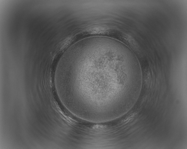 X0000058120261200509261242