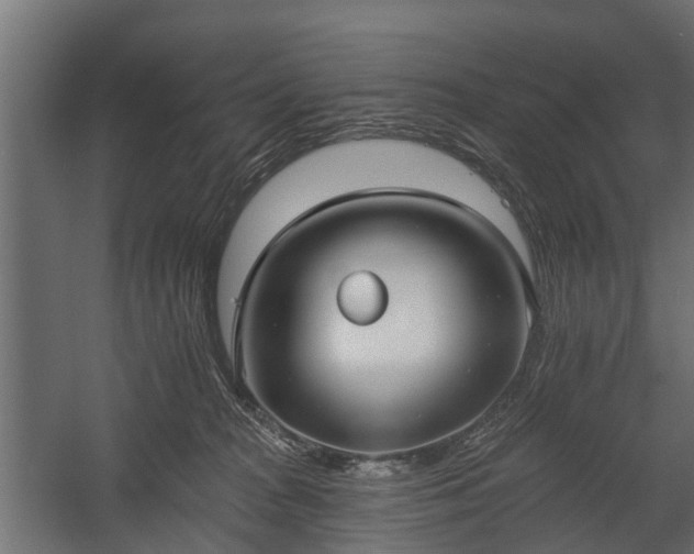 X0000058120277200509261242