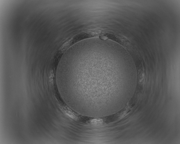 X0000058120279200509261242