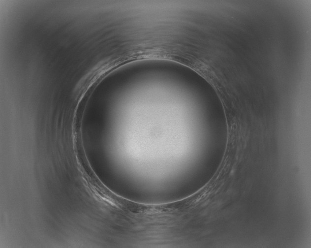 X0000058120290200509261241