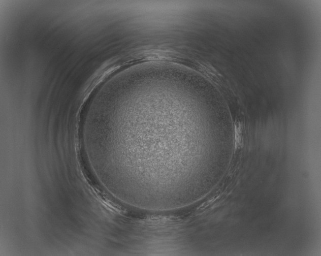 X0000058120291200509261241