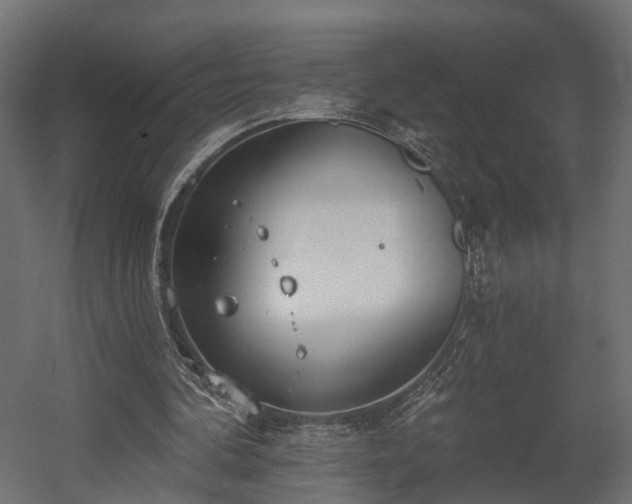 X0000058120292200509261241