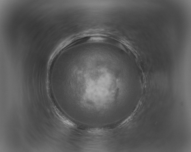 X0000058120293200509261241