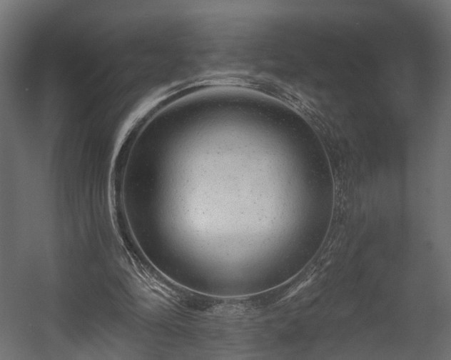 X0000058120294200509261241