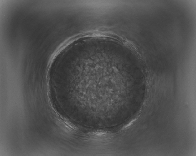 X0000058120295200509261241