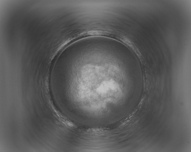 X0000058120297200509261241