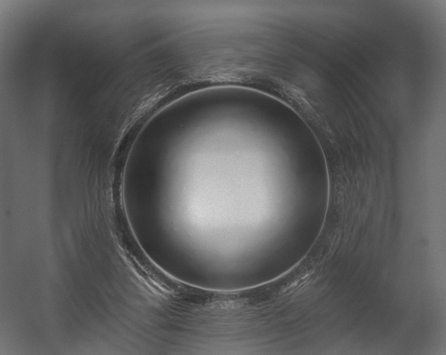 X0000058120299200509261241