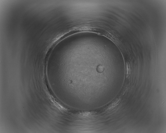 X0000058120301200509261241