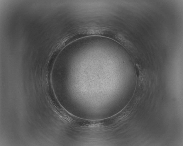 X0000058120306200509261241