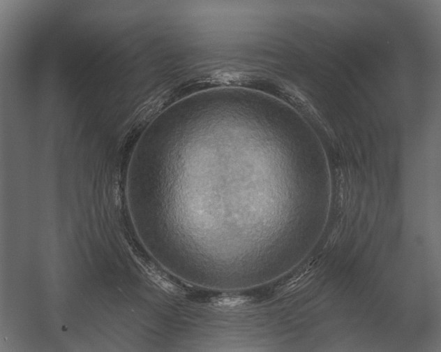 X0000058120313200509261241