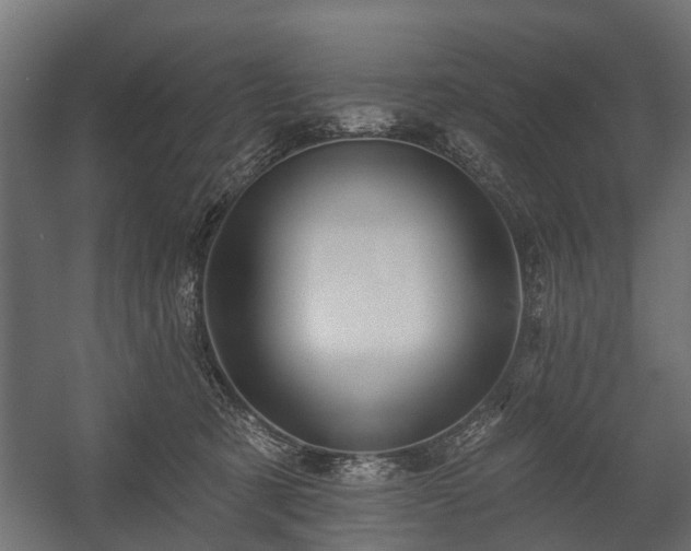 X0000058120321200509261241