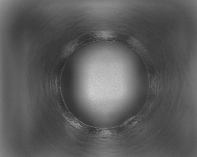 X0000058120330200509261241