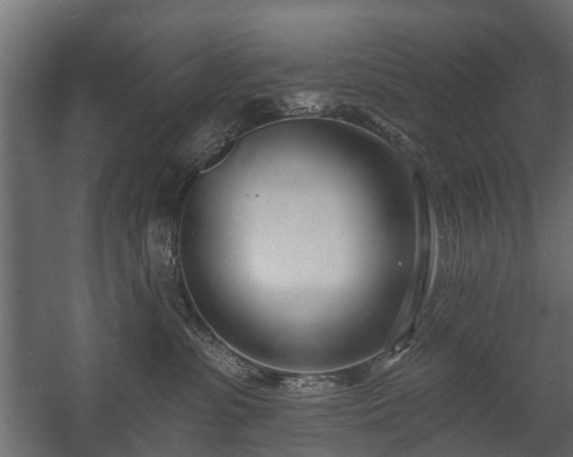 X0000058120331200509261241