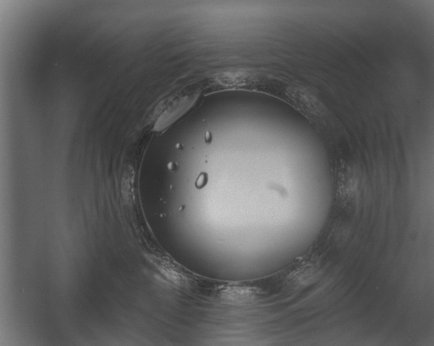 X0000058120332200509261241