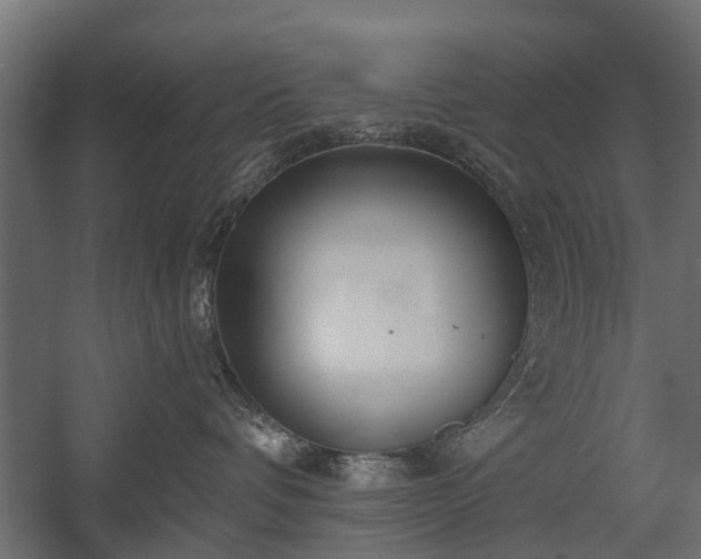 X0000058120336200509261241