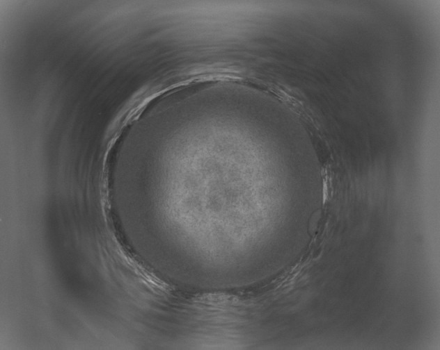 X0000058120339200509261240