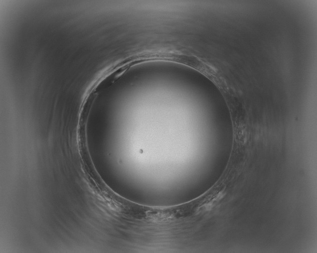 X0000058120340200509261240