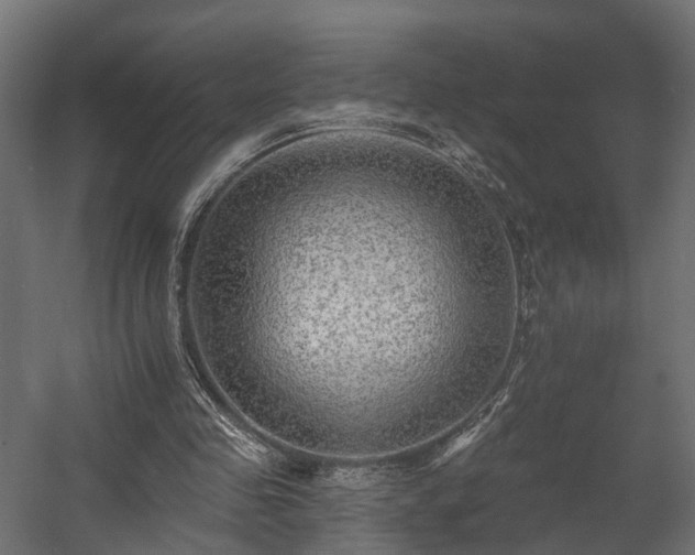 X0000058120341200509261240