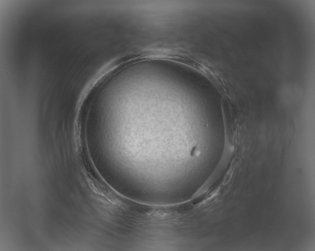 X0000058120343200509261240