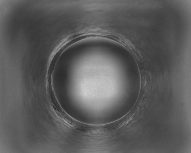 X0000058120344200509261240