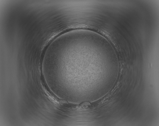 X0000058120345200509261240