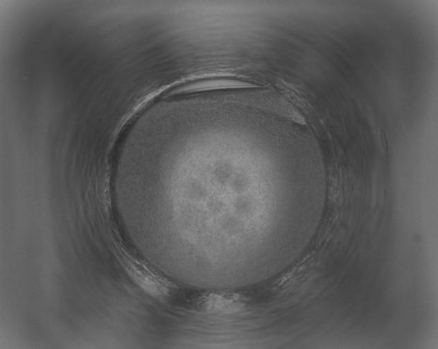 X0000058120346200509261240