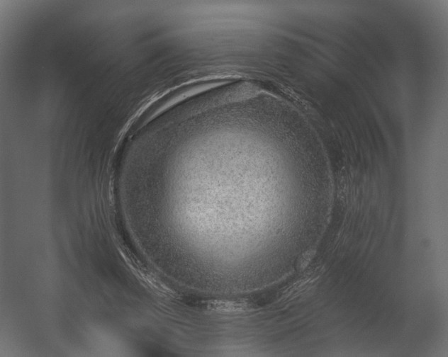 X0000058120347200509261240