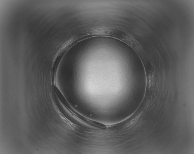 X0000058120349200509261240