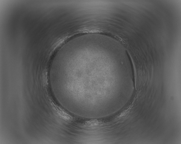 X0000058120351200509261240