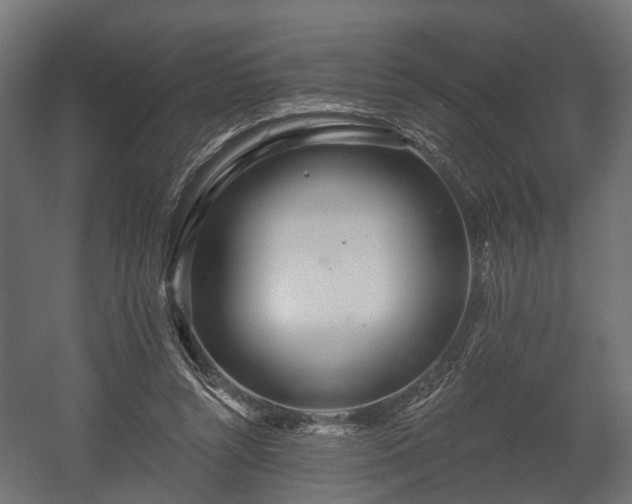 X0000058120352200509261240