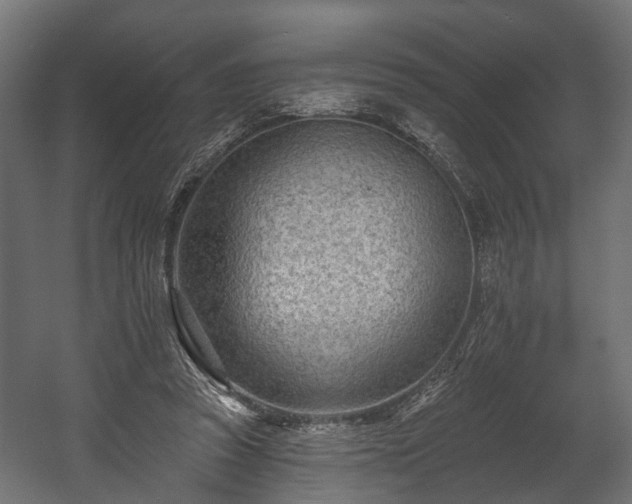 X0000058120353200509261240