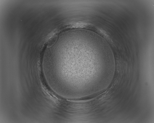 X0000058120354200509261240