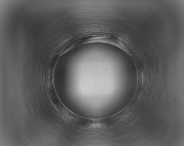 X0000058120360200509261240