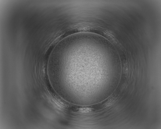 X0000058120363200509261240